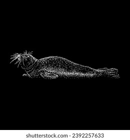 harbor seal hand drawing vector isolated on black background.