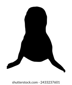 Harbor seal vector silhouette illustration isolated on white background. Seal ocean winter animal portrait. Walrus cow symbol. Sea lion cold ocean water animal.
