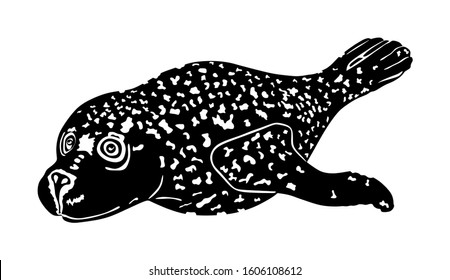Harbour seal vector silhouette illustration isolated on white background. Grey seal baby. Ocean winter animal portrait.