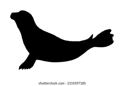 Harbour Seal Vector Silhouette Illustration Isolated On White Background. Grey Seal Baby. Ocean Winter Animal Portrait.