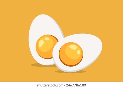 Hard Boiled Sliced Egg with the yellow yolk and the white albumen. Vector illustration in flat style