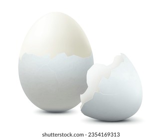 Hard boiled white chicken egg, isolated on white background. Half-shelled egg with egg shells. Healthy food with high protein. Template for Easter holiday. Realistic 3D vector illustration