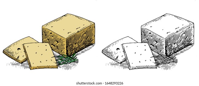 Hard cheese. Drawing. Slice of homemade cheese with herbs. Cut a couple of slices. Making a sandwich. A product made from milk. A picture for packaging is drawn. Vector. Isolate.