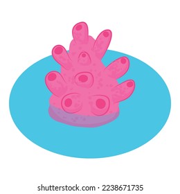 Hard coral icon isometric vector. Pink bright hard mushroom coral in water icon. Undersea world, invertebrate