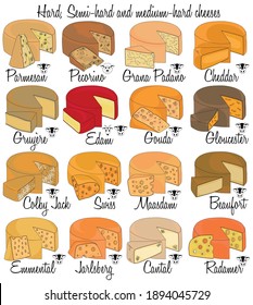 Hard, Semi-hard and medium-hard cheeses. Color hand-drawn types of cheese with characteristics of each type. 