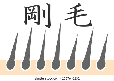 Hard and thick hair. Vector illustration. Translation: Bristles.
