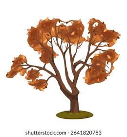 Hardwood oak flora at autumn season. Cartoon vector element for forestry and greenery at fall. Nature bark and timber. Conservation and environment care. Park and woodland, forest and wood. Botany.