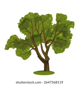 Madeira de folhosas ou carvalho de verão. Símbolo vetorial da natureza e da vida selvagem da madeira e da floresta. Planta com folhagem ou flora com folhas. Madeira e vegetação. Ecossistema e biodiversidade. Botânica.