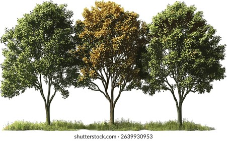 Hardwood trees collection, jungle vector illustration, tropical plants cutout, transparent png, nature background, exotic foliage, environmental art, jungle greenery, forest elements
