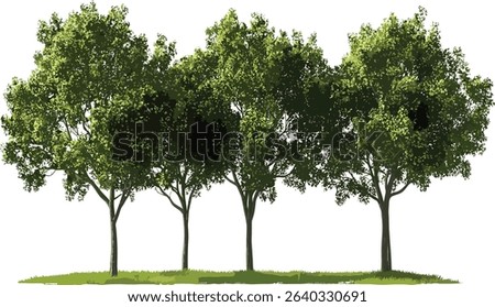 Hardwood trees row vector, environmental, isolated trees, transparent background, landscaping design, eco friendly nature, nature elements, sustainable environment