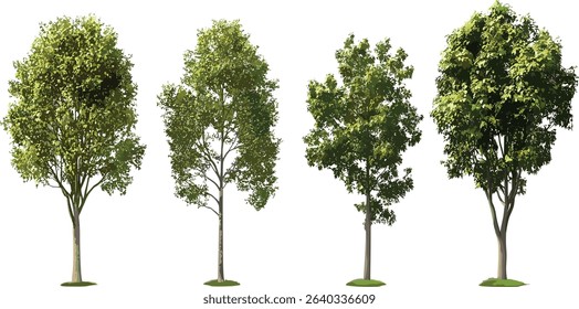 Hardwood trees vector cutout illustrations, transparent background, nature art, eco friendly design, green trees, forest silhouettes, tree clipart, sustainable environment, nature graphics