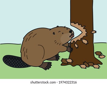 Hard-working beaver chewing down a tree