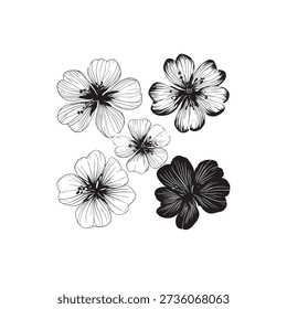 Hardy Geranium line art intricate detailed flower sketch