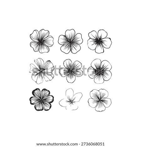 Hardy Geranium line art timeless nature inspired artwork