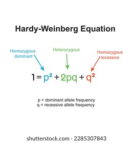 The hardy-weinberg principle, also known as the hardy weinberg equilibrium, model,theorem, or law explains that allele and genotype frequencies in a population will remain constant from generation to