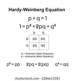 Das Hardy-Weinberg-Prinzip, auch bekannt als das harte weinberg-Gleichgewicht, Modell, Theorem oder Gesetz, erklärt, dass Allel- und Genotypfrequenzen in einer Population von Generation zu Generation konstant bleiben