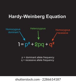 The hardy-weinberg principle, also known as the hardy weinberg equilibrium, model,theorem, or law explains that allele and genotype frequencies in a population will remain constant from generation to