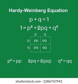 The hardy-weinberg principle, also known as the hardy weinberg equilibrium, model,theorem, or law explains that allele and genotype frequencies in a population will remain constant from generation to