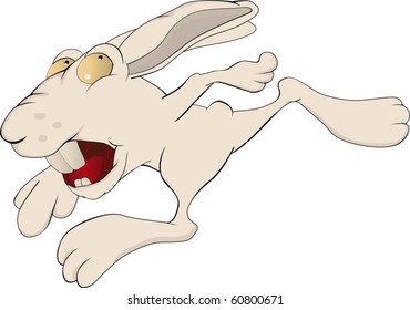 Hare