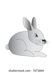 hare