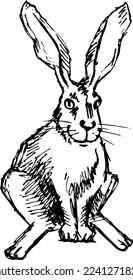 Carácter de liebre. Dibujo de línea blanca y negra de una liebre sentada