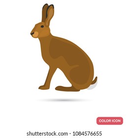 Hare color flat icon for web and mobile design