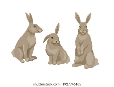 Hare in different poses, a bunny is sitting and standing. Vector character, childish illustration of zoology. Isolated object on a white background.