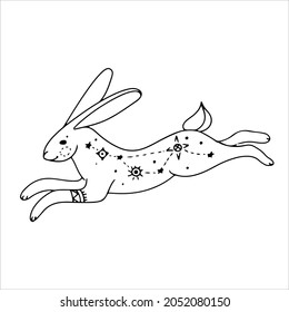 Hasen Sie im Doodle-oder Boho-Stil. Einfache skizzierte Linienkunst. Wintervektorgrafik einzeln auf weißem Hintergrund.