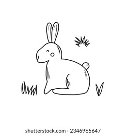 hare, doodle style sketch illustration hand drawn vector, hare vector sketch illustration