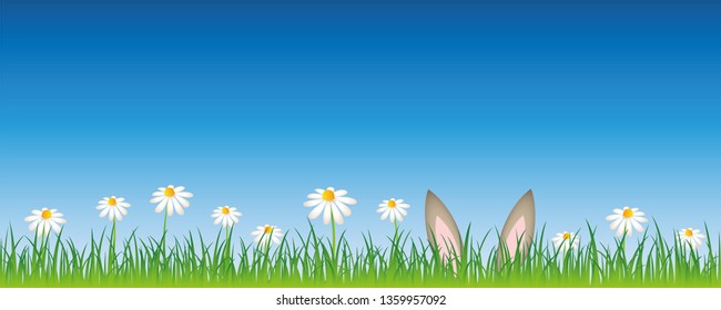 hare ears hide in a flower meadow easter design banner with copy space vector illustration EPS10