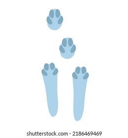 Hare footprints concept. Cute rabbit footprints. Isolated illustration on a white background. Vector illustration.