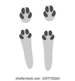 Hare footprints concept. Cute rabbit footprints. Isolated illustration on a white background. Vector illustration.