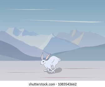 hare gray vector, outdoor, snow