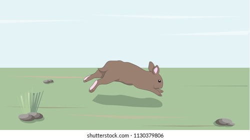 hare gray vector, outdoor, snow