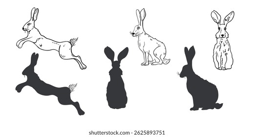 Hare hand drawn black white outline vector set illustration. Forest animal graphic sketch for winter and Christmas design. Rabbit, wild hare silhouette drawing for seasonal packaging, stationery.