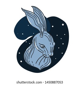Hare head on midnight background