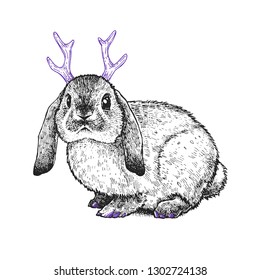 Hare with a horns isolated on a white background. Hand drawn fantasy ink illustration. Vintage style. Graphic artwork with the bunny. Magical creature.
