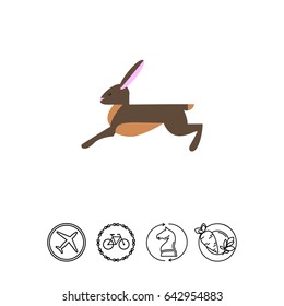 Hare icon