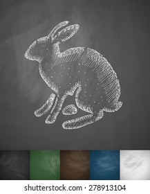 hare icon. Hand drawn vector illustration. Chalkboard Design