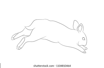 hare jumping, lines, vector, white background