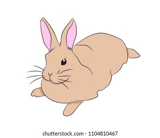 hare lies, vector, white background