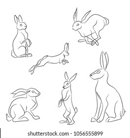 hare lines, vector, white background
