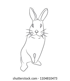 hare lines, vector, white background