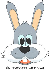 hare on white background