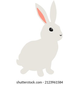 Hare on white background. Bunny for Easter card. Vector illustration