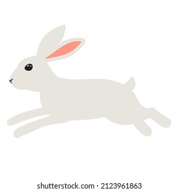 Hare on white background. Bunny for Easter card. Vector illustration