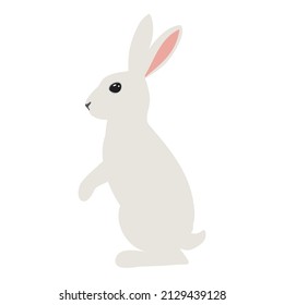 Hare on white background. Bunny for Easter card. Vector illustration