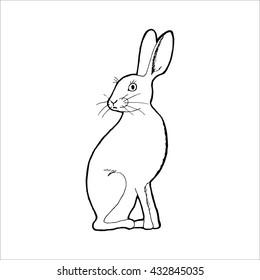 Hare. Outline vector illustration.