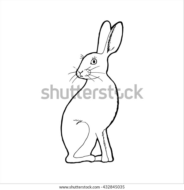Hare Outline Vector Illustration Stock Vector (Royalty Free) 432845035
