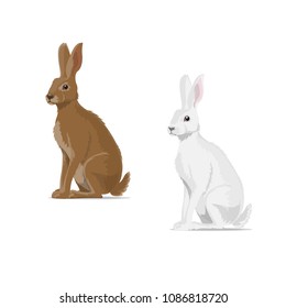 Hare or rabbit animal icon. Vector isolated zoology flat design of forest wild jackrabbit hare white and brown for wildlife fauna and nature zoo or open season hunting club or sport team badge